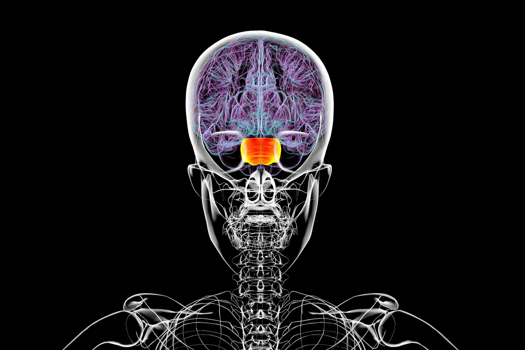 Montefiore Einstein-Led Study Investigates How Sleep Impacts Cognitive Function in Older Adults